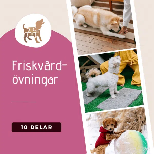 Friskvårdskurs (fd utmaning)