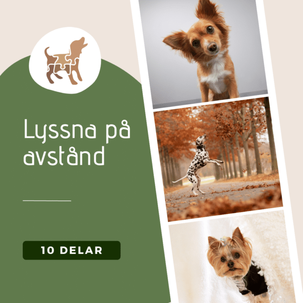 Utmaningspaketet: 9 stycken till pangpris! - Bild 8