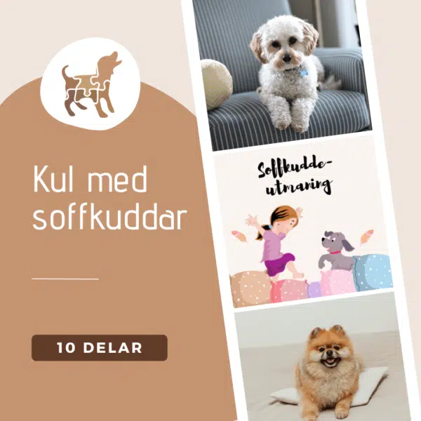 Soffkudde-kul (fd utmaning) - ha kul och aktivera din hund