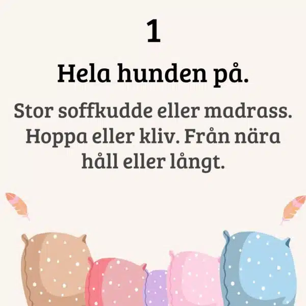 Soffkudde-kul (fd utmaning) - ha kul och aktivera din hund - Bild 4