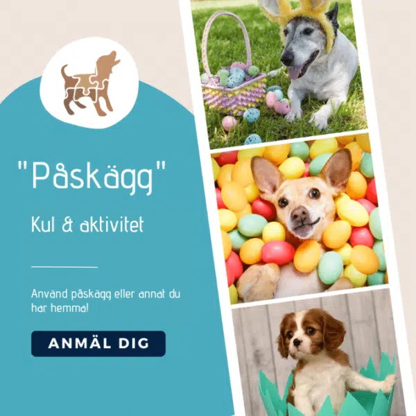 Påsk(ägg)aktivering