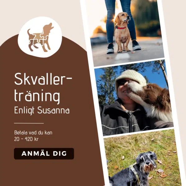 Skvallerträning för hundägare (inspelning)