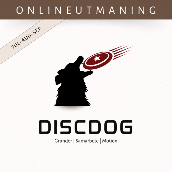 Tema: DiscDog (3mån)