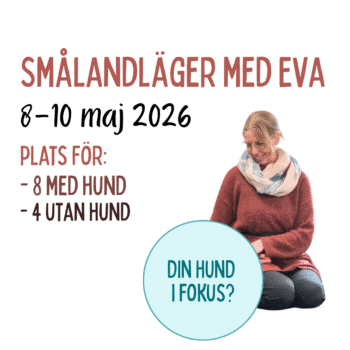 Från belöning till belöning (2026)