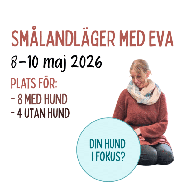 Från belöning till belöning (2026)