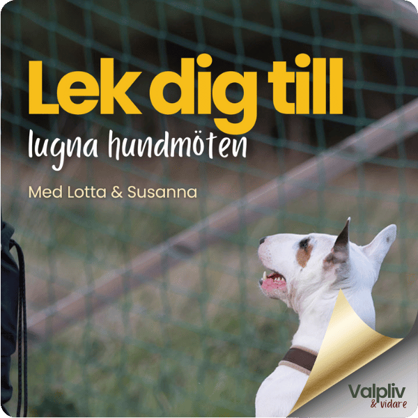Webinar: Lek dig till lugna hundmöten