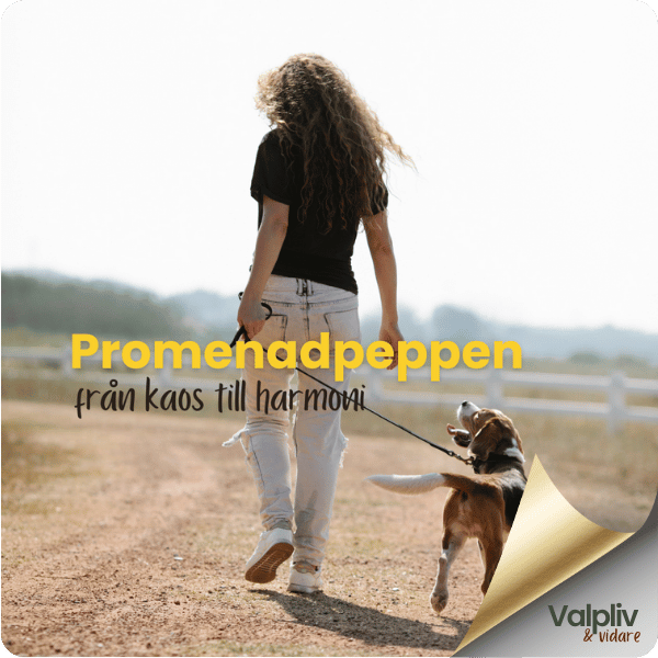 Promenadpeppen