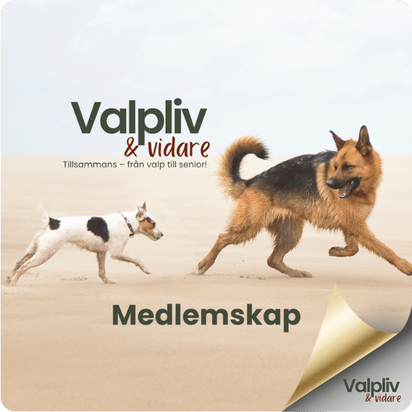 Valpliv&Vidare - ett år